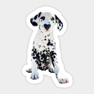 Dalmatian Cute Puppy Dog Love Sticker